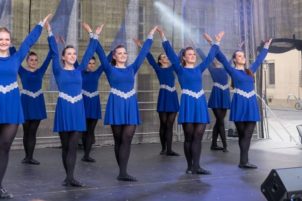 17. fot. dzika fotografia